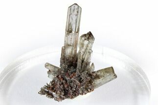 Lustrous Cerussite Crystal Cluster - Congo #372228