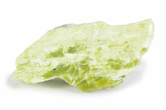 Polished Noble Serpentine Section - Washington #372626