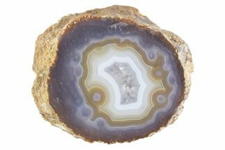 Polished Purple & Yellow Banded Agate - Kerrouchen, Morocco #372664