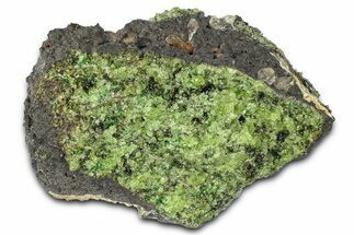 Peridot Crystals in Basalt - Arizona #369533