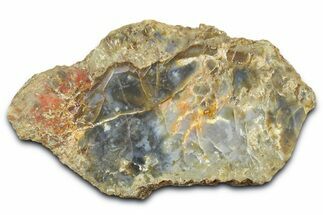Dinosaur Coprolite Nodule Slice - Utah #372747