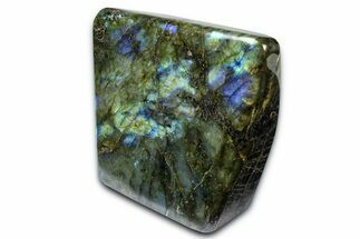 Flashy Free-Standing Polished Labradorite - Madagascar #372811