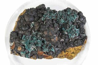 Teal Blue Rosasite on Goethite - Mexico #372778
