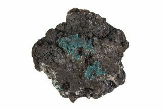 Teal Blue Rosasite on Goethite - Mexico #372779