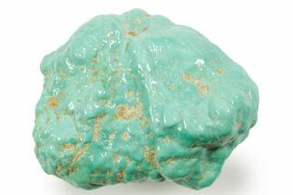 Polished Chilean Turquoise ( grams) Nugget #373192