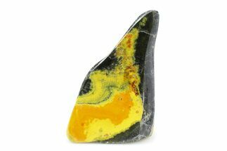 Very Vibrant, Free-Standing Polished Bumblebee Jasper #373338