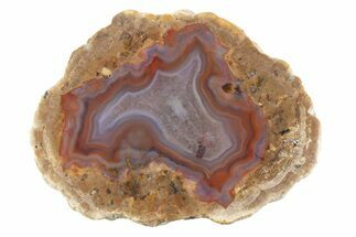 Polished Red Hot (Berrendo) Thunderegg Half - Mexico #373228