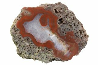 Polished Banded Agate Nodule Half - Bou Hamza, Morocco #373290