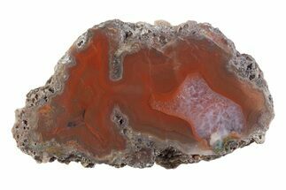 Polished Banded Agate Nodule Half - Bou Hamza, Morocco #373292