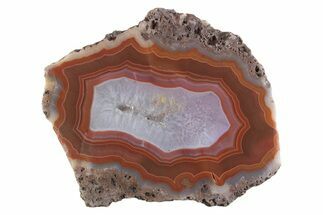 Polished Banded Agate Nodule Half - Bou Hamza, Morocco #373295