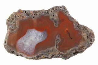 Polished Banded Agate Nodule Half - Bou Hamza, Morocco #373296