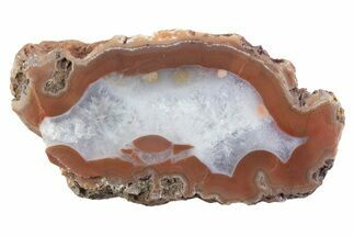 Polished Banded Agate Nodule Half - Bou Hamza, Morocco #373297