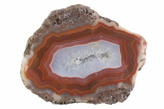 Polished Banded Agate Nodule Half - Bou Hamza, Morocco #373298