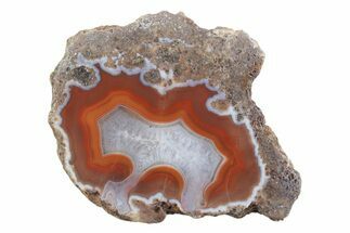Polished Banded Agate Nodule Half - Bou Hamza, Morocco #373299