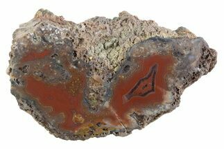 Polished Banded Agate Nodule Half - Bou Hamza, Morocco #373304