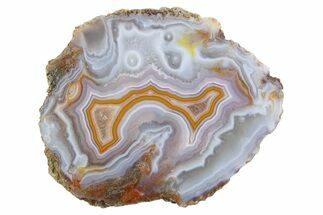 Polished Banded Agate Nodule Half - Morocco #373310