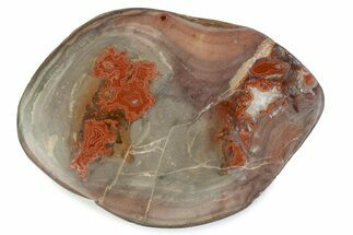 Polished Devil's Red Agate - TeePee Canyon, South Dakota #373409