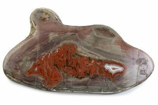 Polished Devil's Red Agate Slab - TeePee Canyon, South Dakota #373412