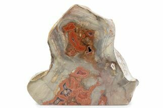 Polished Devil's Red Agate - TeePee Canyon, South Dakota #373422