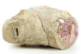 Colorful Polished Banded Agate Nodule - Utah #373509