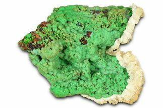 Vibrant Green Conichalcite on Limonite - Namibia #373572