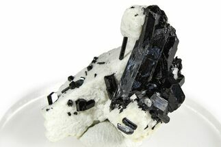 Lustrous Black Tourmaline (Schorl) Crystals w/ Feldspar - Namibia #373617
