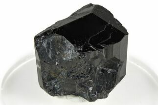 Lustrous Black Tourmaline (Schorl) Crystal - Namibia #373621