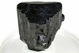 Lustrous Black Tourmaline (Schorl) Crystal - Namibia #373624