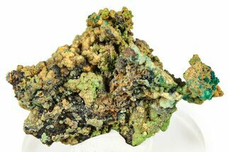 Vibrant Green Conichalcite with Chrysocolla - Namibia #373628