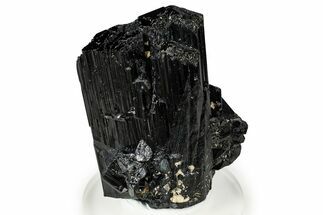 Lustrous Black Tourmaline (Schorl) Crystal Cluster - Namibia #373649
