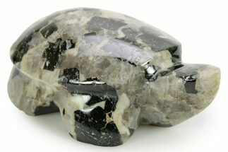 Carved Riebeckite Granite Turtle - Alaska #373637