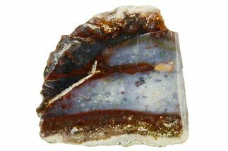 Polished Colorful Agate Section - Java, Indonesia #293391