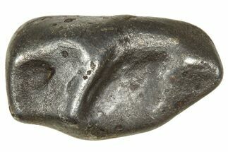 Fusion Crusted Sikhote-Alin Iron Meteorite ( g) - Russia #375332