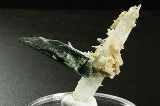 Clinozoisite and Hedenbergite? on Quartz - Peru (New Find) #375586