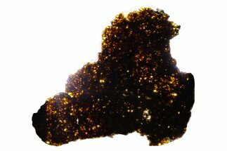 Polished Diogenite Meteorite ( g) Slice - NWA #375652