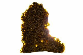 Polished Diogenite Meteorite ( g) Slice - NWA #375705