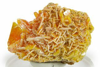 White Calcite on Bright Orange Wulfenite - Iran #375739