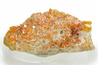 Bright Orange Wulfenite on Calcite - Iran #375740