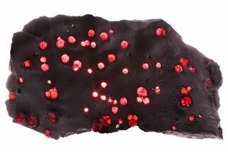 Plate of + Red Embers Garnets in Graphite - Massachusetts #375774