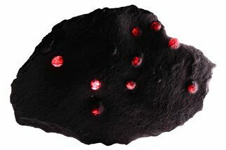 Plate of + Red Embers Garnets in Graphite - Massachusetts #375777