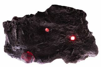 Plate of Four Red Embers Garnets in Graphite - Massachusetts #375782