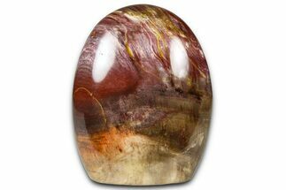 Free-Standing, Polished Petrified Wood - Madagascar #376097