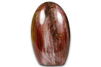 Free-Standing, Polished Petrified Wood - Madagascar #376101