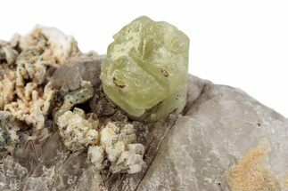 Lustrous Yellow-Green Apatite Crystal on Calcite - Morocco #376599