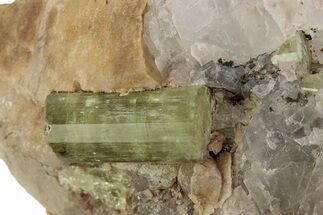 Lustrous Yellow-Green Apatite Crystals on Calcite - Morocco #376601