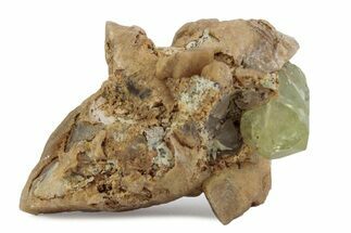 Lustrous Yellow-Green Apatite Crystal on Calcite - Morocco #376606