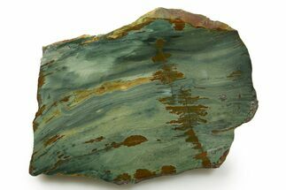 Gary Green Jasper (Larsonite) Bog Wood Slab - Oregon #377693