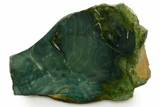 Gary Green Jasper (Larsonite) Bog Wood Slab - Oregon #377702