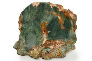 Gary Green Jasper (Larsonite) Bog Wood Slab - Oregon #377740