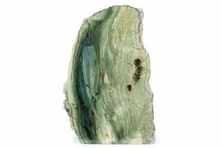 Freestanding Gary Green Jasper (Larsonite) Bog Wood - Oregon #377787